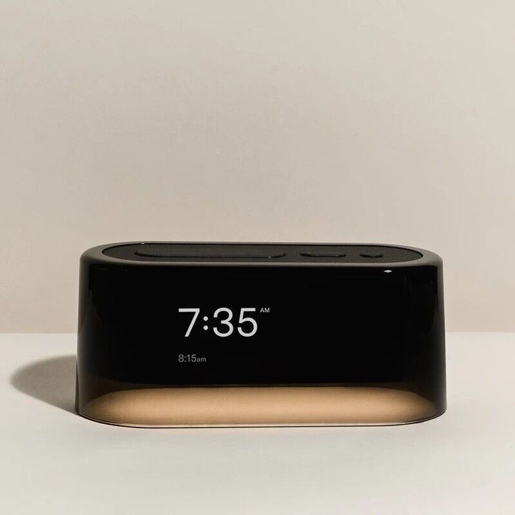 Speaker With Alarm