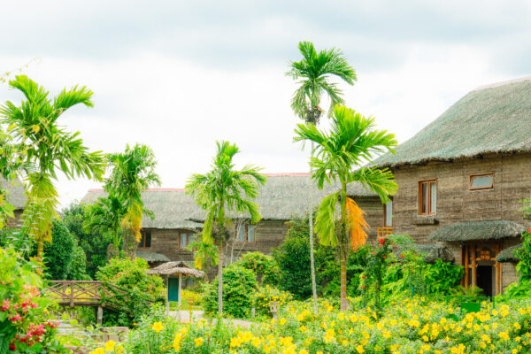AESA-AEN-ecotourism-njsc-1