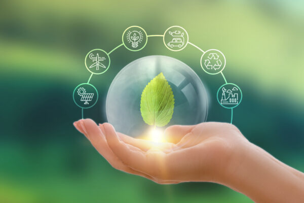 esg-sustainable-tourism-njsc