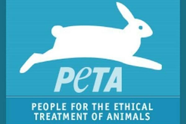 petal-animals-njsc