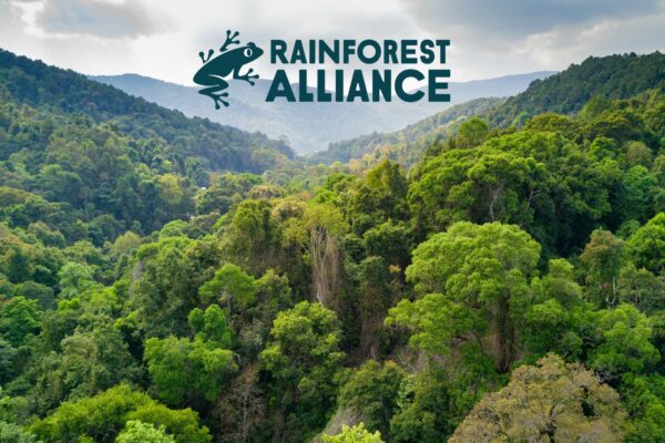rainforest-alliance-sustainable-njsc